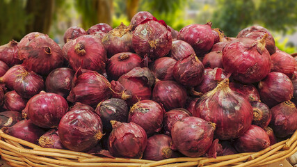 Purple onions. Portion of red onion in a basket