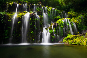 Obraz premium Waterfall landscape. Beautiful hidden waterfall in tropical rainforest. Nature background. Slow shutter speed, motion photography. Banyu Wana Amertha waterfall, Bali, Indonesia