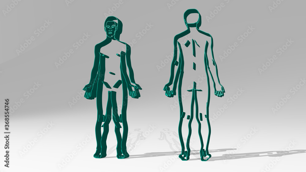 Fototapete front and back anatomy of human body from a perspective with the shadow. a thick sculpture made of m