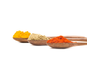 indian spices isolated on white background.