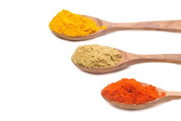 indian spices isolated on white background.