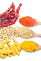 indian spices isolated on white background.
