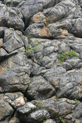 Natural Rock Texture