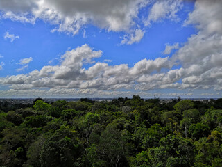 Fototapeta na wymiar a beautiful landscape showing the mix of the city and nature, in the heart of the Amazon rainforest