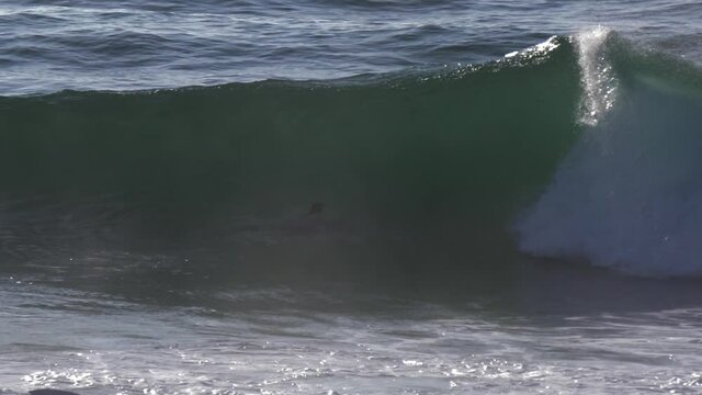 water sport bodyboard in beach slow motion
