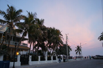 Pink Sunset in Key West, Florida