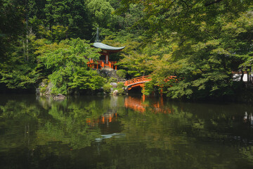 Fototapeta na wymiar Japanese garden in japan with historic Japanese temple and calm pond with a reflection