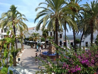 Fototapeta na wymiar Palms in Andalucia