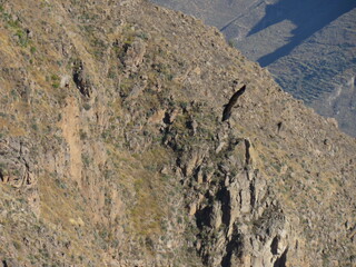 peru