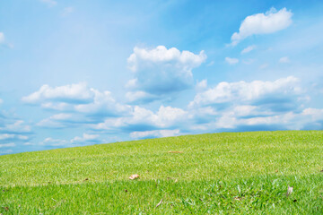 Beautiful green meadow field hill with white clouds and blue sky