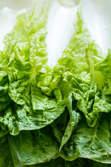 Chinese cabbage on the plate