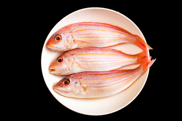 Chilled sea red shirt