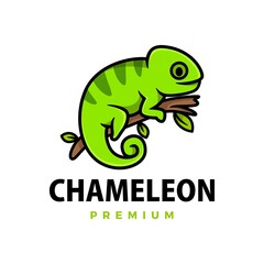 cute chameleon cartoon logo vector icon illustration