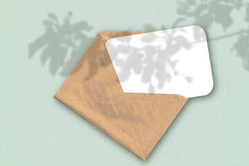 An envelope with a sheet of textured white paper on the light green background of the table. Natural light casts shadows from an exotic plant.. Horizontal orientation