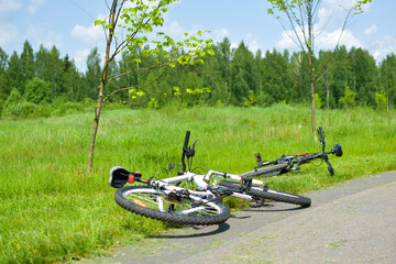 Fototapeta na wymiar bicycles on the grass in nature, cycling in the fresh air