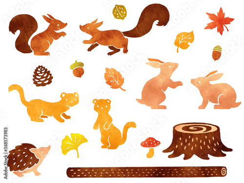 森の小動物と秋の紅葉の水彩風イラストセット Wall Mural Nora Hachio 森の小動物と秋の紅葉の水彩風イラストセット Wall Mural Nora Hachio