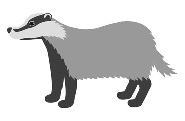 Grey badger. Side view. Isolated on white background. Vector illustration.