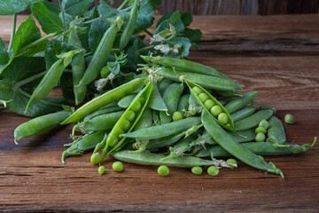 a branch of green peas with pods on a wooden table close-up, harvest from the garden