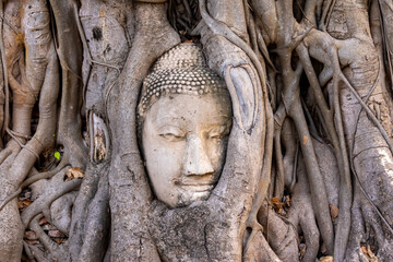 タイのアユタヤにあるワット・マハータートで見た、木の根に取り込まれた仏像の頭部