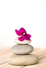 Fototapeta na wymiar Pink Orchid And Pebble Zen Style Still