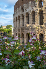 Obraz premium Calme matinée de printemps à Rome, Italie.