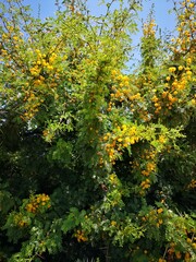 hot mood in Sousse Tunisia