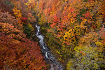 中津川渓谷の秋