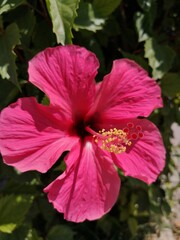 hot mood in Sousse Tunisia