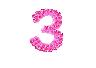 The number three  is made of pink flowers on a white background. Spring concept Floral letters of the alphabet for wedding design or flower festival