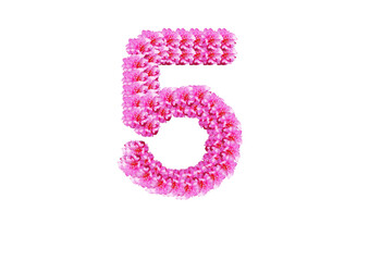 The number five is made of pink flowers on a white background. Spring concept Floral letters of the alphabet for wedding design or flower festival
