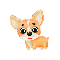 Watercolor corgi puppy isolated on white background. Watercolor illustration