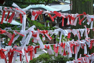 江の島神社のおみくじ