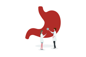 A team of doctors checkup the stomach. People examine the organ and make a diagnosis. Examination and treatment of the digestive system.
Healthy stomach vector illustration concept.