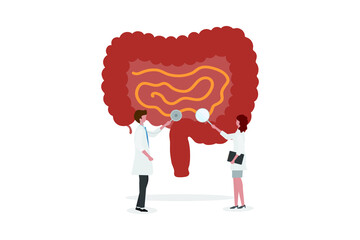 A team of doctors checkup the intestine. People examine the organ and make a diagnosis. Examination and treatment of the digestive system. Healthy intestine vector illustration concept.