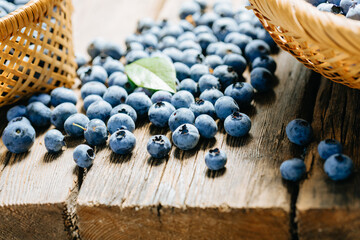Freshly picked blueberries scattered   on the table between wicker baskets. Juicy and fresh berries with green leaves on rustic wooden table surface. Concept for healthy eating and nutrition.