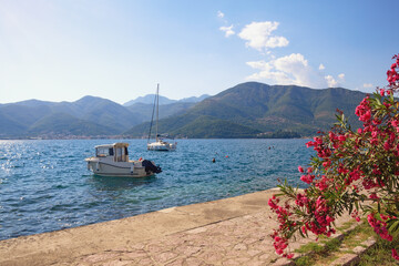 Beautiful summer Mediterranean landscape. Montenegro, Adriatic Sea, Bay of Kotor, Tivat
