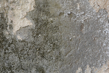 Cement rough wall