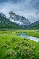Fototapeta na wymiar The meadows under snow mountains in Yading, Sichuan Province, during summer time, on cloudy day.