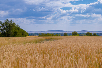 Needlework. Women's hands close up crocheting children's plaid. Crochet hook