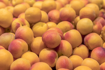 Large ripe apricots. Close up.