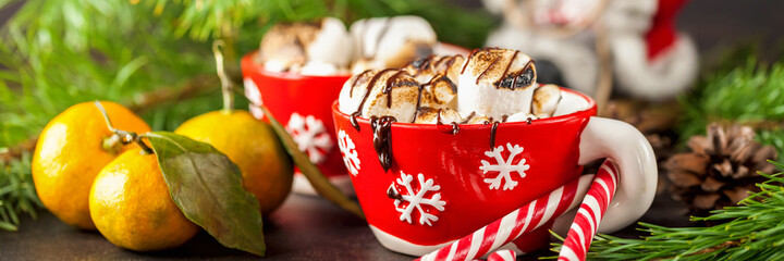 Beautiful Christmas background with Cup of marshmallows, the Christmas tree branches. Selective focus