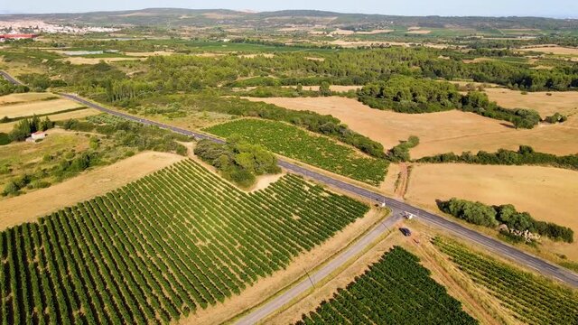 Drone survolant une route qui traverse des vignes