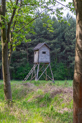 Wooden deer stand looks like elevated tiny house with ladder situated on small glade in the middle of forest in sunlight