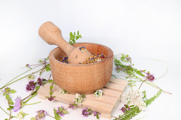 Obraz na płótnie Canvas Fresh medicinal,healing herbs.Alternative medicine herbal.Natural herbal medicine.thyme on a white background