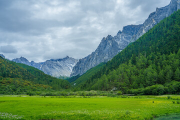 Fototapeta na wymiar The snow mountain and meadows in Yading, on summer time, during a cloudy day, in Sichuan Province, China.