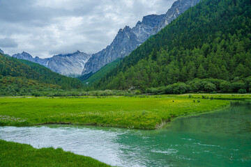 Naklejka na ściany i meble The creeks on meadows and snow mountains Yading, Sichuan province, China, on summer time, on a cloudy day.