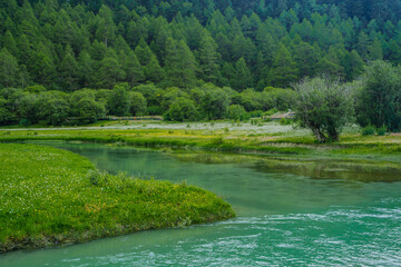 The creek on meadows in Yading, Sichuan, China, summer time, on a cloudy day.