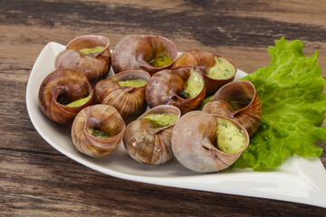 French cuisine - Escargot with sauce