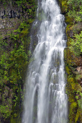Fototapeta na wymiar Barr Creek Falls in Prospect State Park, Oregon, USA