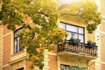 Fototapeta na wymiar Facade of a building with a yellow tree. Autumn city